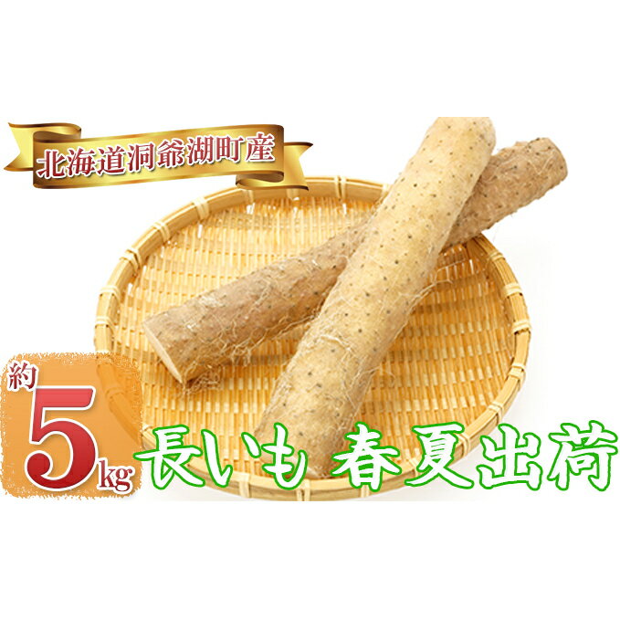 14位! 口コミ数「1件」評価「5」長いも（春夏出荷）約5kg　※5月中旬より順次出荷　【野菜・野菜セット】　お届け：2024年5月中旬～8月上旬まで