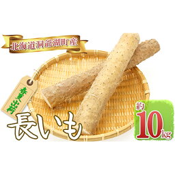 【ふるさと納税】長いも（春夏出荷）約10kg　※5月中旬より順次出荷　【野菜・野菜セット】　お届け：2024年5月中旬～8月上旬まで