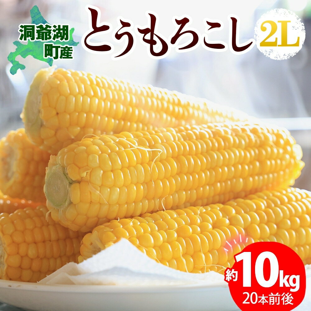 【ふるさと納税】とうもろこしサイズ2L 約22本 約10kg、発泡氷詰め ※8月下旬より順次出荷 とうもろこし 季節野菜 トウモロコシ 旬 夏 とうきび 野菜 先行予約　【野菜・とうもろこし】　お届け：2024年8月21日～9月2日まで 1