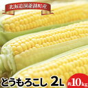 【ふるさと納税】とうもろこしサイズ2L 約22本 約10kg、発泡氷詰め ※8月下旬より順次出荷 とうもろこし 季節野菜 トウモロコシ 旬 夏 とうきび 野菜 先行予約　【野菜・とうもろこし】　お届け：2024年8月21日～9月2日まで