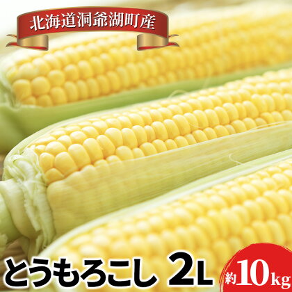 とうもろこしサイズ2L 約22本 約10kg、発泡氷詰め ※8月下旬より順次出荷 とうもろこし 季節野菜 トウモロコシ 旬 夏 とうきび 野菜 先行予約　【野菜・とうもろこし】　お届け：2024年8月21日～9月2日まで