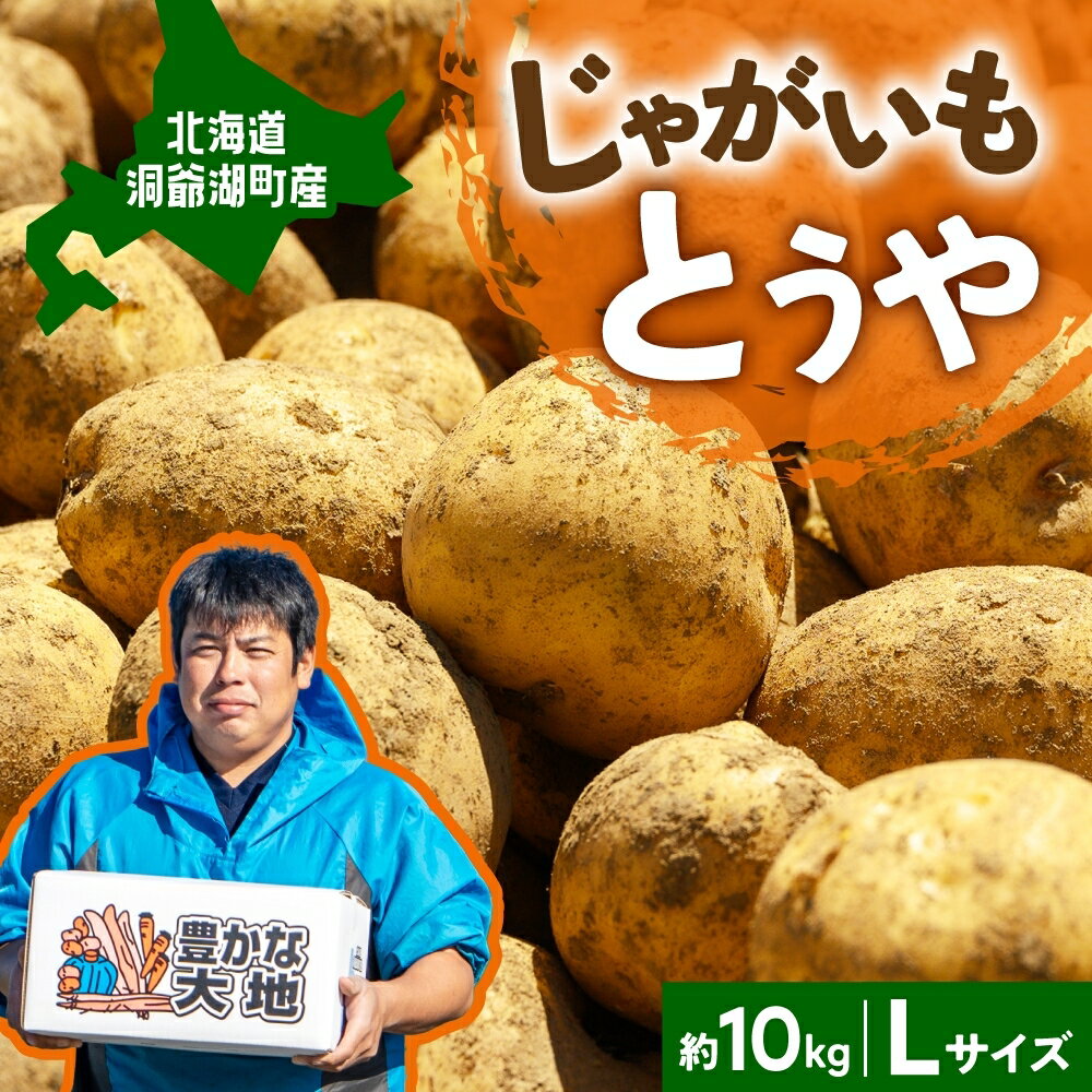 【ふるさと納税】北海道産 青野農園 じゃがいも とうや Lサイズ 約10kg 北海道 ジャガイモ トウヤ 馬...