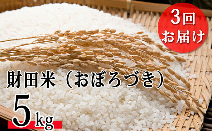 【ふるさと納税】財田米（おぼろづき）5kg【3ヶ月連続お届け】 ※令和5年産米　【定期便・お米】