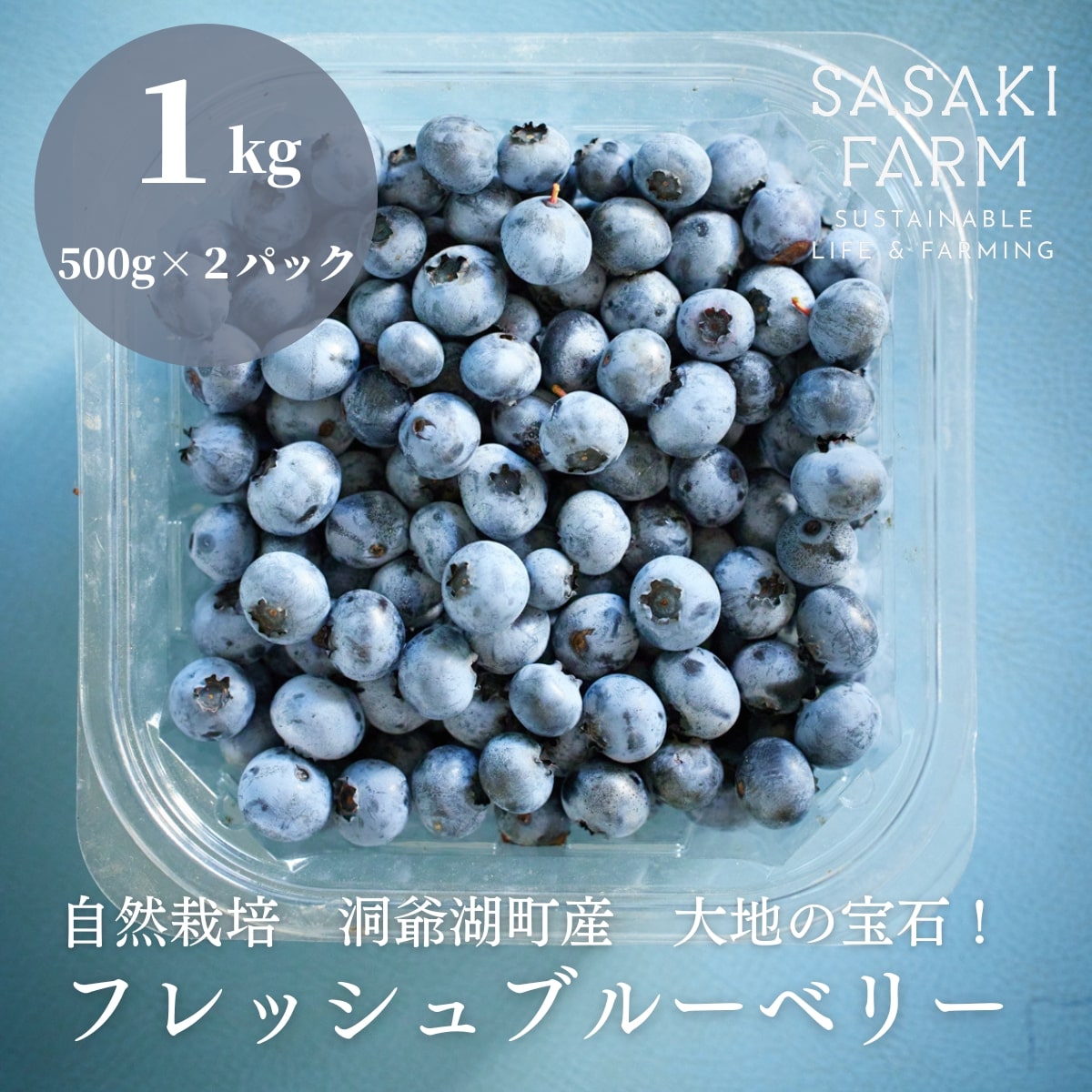 5位! 口コミ数「0件」評価「0」【先行受付 8/1 発送開始】〈自然栽培〉夏の宝石　摘みたて！佐々木ファームのフレッシュブルーベリー　【1kg】500g×2パック　北海道　･･･ 