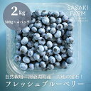 4位! 口コミ数「1件」評価「5」【先行受付 8/1 発送開始】〈自然栽培〉夏の宝石　摘みたて！佐々木ファームのフレッシュブルーベリー　【2kg】500g×4パック　北海道　･･･ 