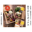 【ふるさと納税】〈自然栽培〉佐々木ファーム　旬の野菜詰め合わせ　～ありがとうBOX 2024・大～　やさい　直送　北海道　洞爺湖町　【セット・詰合せ・根菜・野菜・ねぎ】　お届け：2024年12月1日～2025年1月31日まで