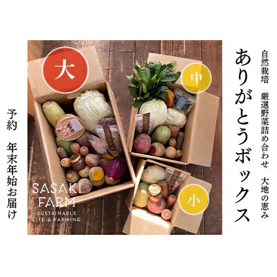 〈自然栽培〉佐々木ファーム　旬の野菜詰め合わせ　～ありがとうBOX 2024・大～　やさい　直送　北海道　洞爺湖町　【セット・詰合せ・根菜・野菜・ねぎ】　お届け：2024年12月1日～2025年1月31日まで