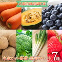 15位! 口コミ数「1件」評価「5」役に立ちます！冷凍野菜・果実のセット(7種)約1.3kg　【野菜・セット・詰合せ・アスパラガス・野菜・果物類・いちご・苺・イチゴ】