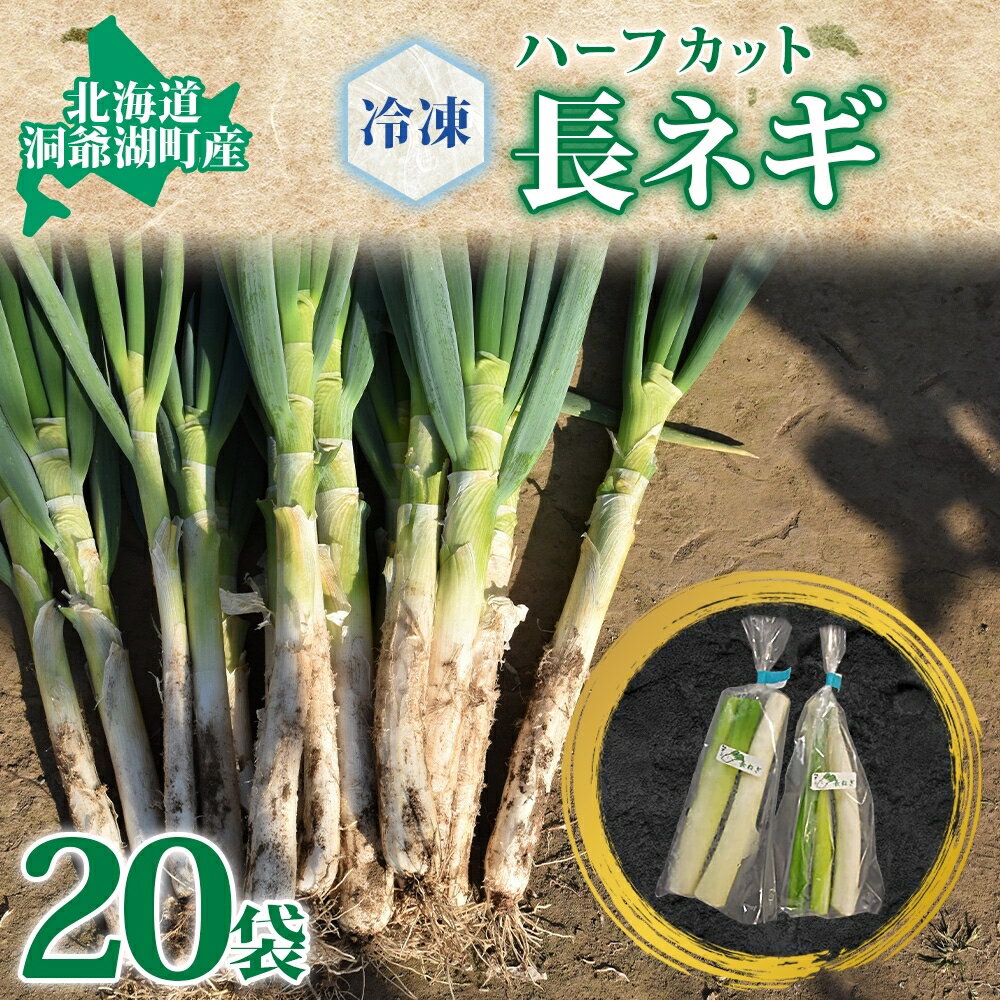 役に立ちます 冷凍カット野菜 長ねぎ1/2分×20袋　長ネギ 料理 小分け 便利 野菜　【洞爺湖町】