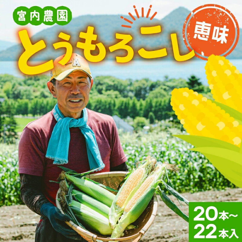 【ふるさと納税】北海道産 とうもろこし 恵味 めぐみ 2L 20～22本 朝採り トウモロコシ 玉蜀黍 コーン...