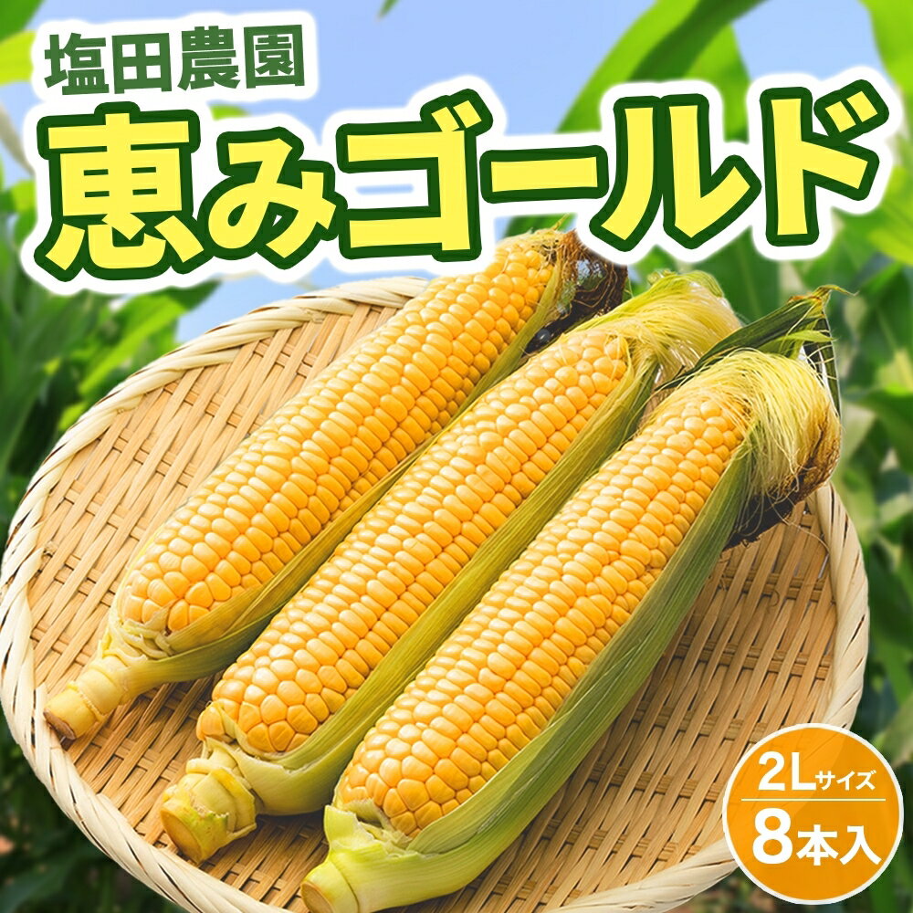 13位! 口コミ数「15件」評価「4.6」北海道産 とうもろこし 恵味 ゴールド 2L 10本 朝採り めぐみ 玉蜀黍 コーン スイートコーン とうきび 大きめ 甘い 新鮮 旬 もぎ･･･ 