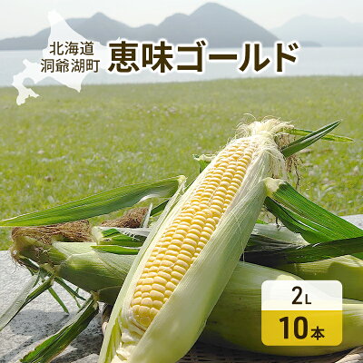 楽天ふるさと納税　【ふるさと納税】北海道産 とうもろこし 恵味 ゴールド 2L 10本 朝採り めぐみ 玉蜀黍 コーン スイートコーン とうきび 大きめ 甘い 新鮮 旬 もぎたて 産地直送　【野菜・とうもろこし・トウモロコシ・約5kg】　お届け：2024年8月下旬～9月末頃まで