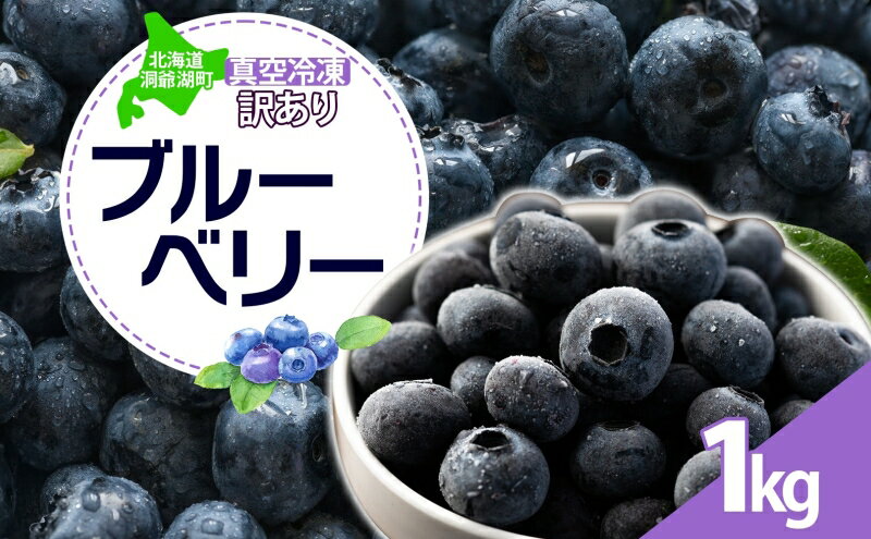 【ふるさと納税】北海道 訳あり ブルーベリー 500g 2袋 計1kg 果物 フルーツ 新鮮 国産 ベリー 農薬不使用 果物 フルーツ お取り寄せ グルメ ギフト 真空冷凍 冷凍保存 長期保存　【洞爺湖町】　お届け：2024年7月下旬より順次出荷