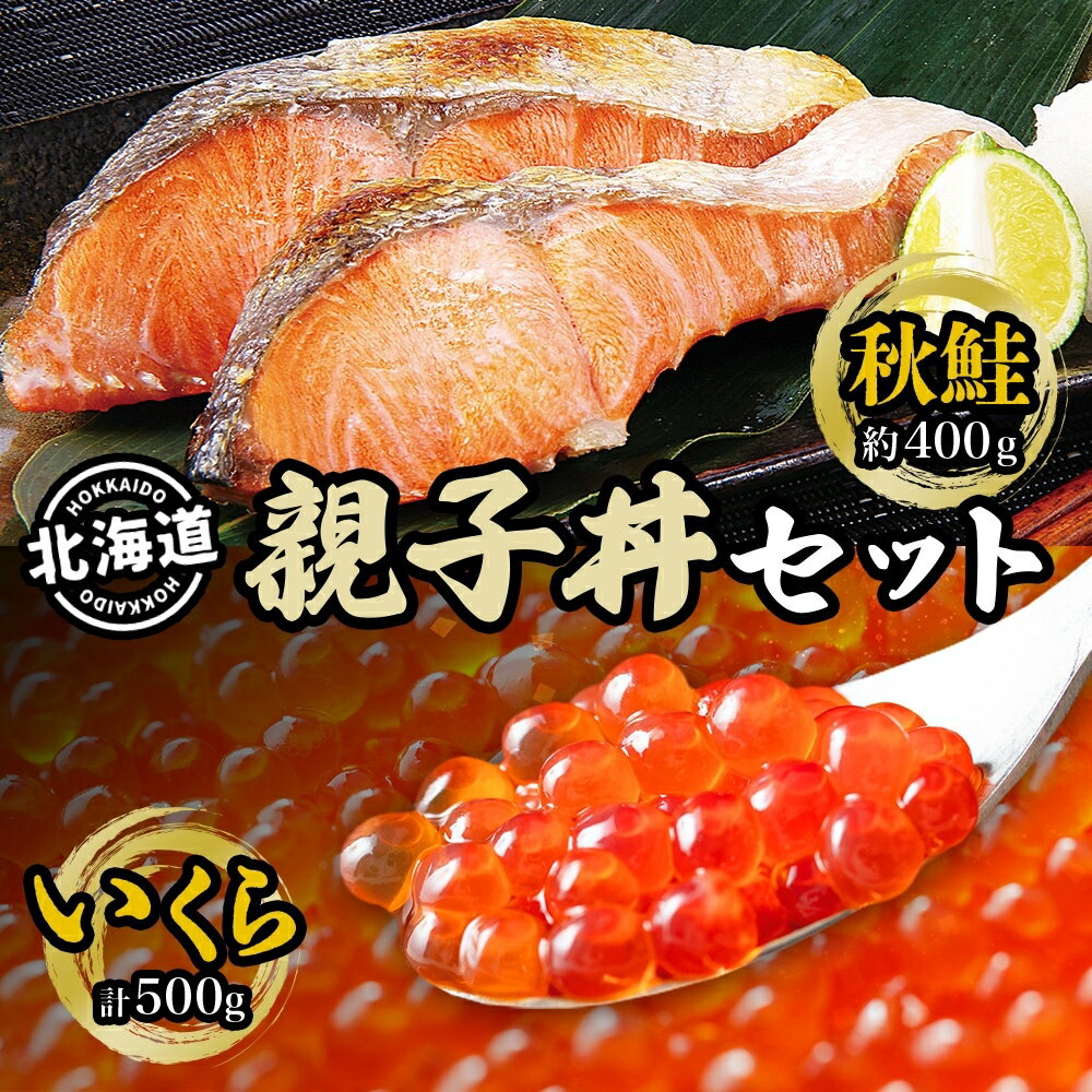 【ふるさと納税】秋鮭といくらの親子丼セット(甘塩秋鮭切身1切 約100g×4切、いくら醤油漬け250g×2個) サーモン 魚貝類 魚卵 加工食品 お届け:2025年2月より順次出荷
