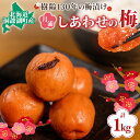 北海道・樹齢130年の梅漬け「しあわせの梅」1kg（200g×5個）　
