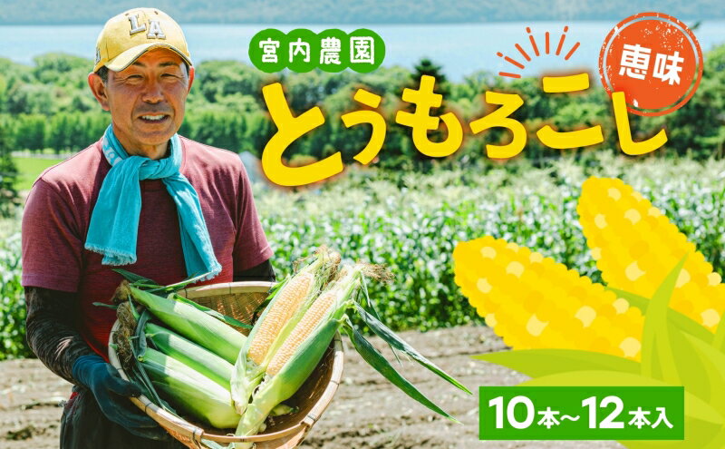 【ふるさと納税】北海道産 とうもろこし 恵味 めぐみ 2L 10～12本 朝採り 恵み トウモロコシ 玉蜀黍 とうきび 大きめ スイートコーン 甘い 旬 夏 新鮮 もぎたて 朝採れ 産地直送　【 野菜 コーン 約5kg】　お届け：2024年7月下旬から8月下旬まで