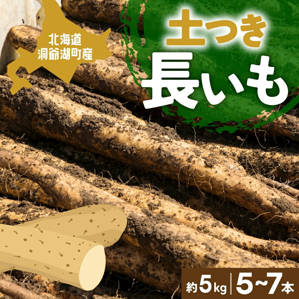 北海道産 青野農園 土つき 長いも 約5kg 5〜7本 ながいも 土付き 北海道 長芋 とろろいも じねんじょ 自然薯 とろろ いも イモ 旬 野菜 農作物 産地直送 お取り寄せ 送料無料 [野菜 根菜 北海道産 とろろご飯] お届け:2024年11月下旬〜12月中旬まで