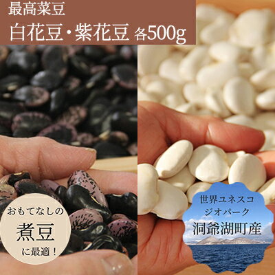 北海道・洞爺湖町産 高級菜豆の白花豆と紫花豆 各500g×1袋 計1kg 2種 高級 菜豆煮豆 豆 まめ マメ 乾物 ※2024年12月中旬より順次出荷 [野菜・白花豆・紫花豆・お豆・豆] お届け:2024年12月中旬より順次出荷