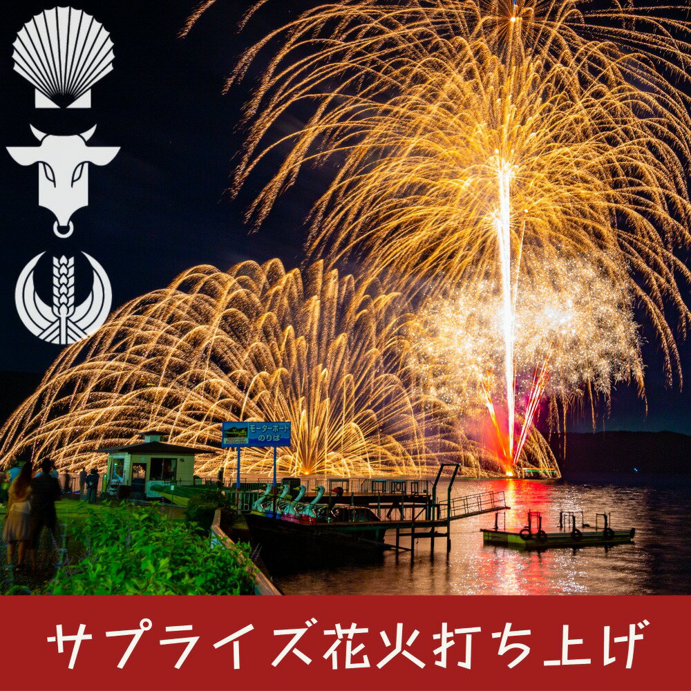 19位! 口コミ数「0件」評価「0」洞爺湖温泉 サプライズ 花火打ち上げ券　【花火大会チケット・チケット・イベント・サプライズ】