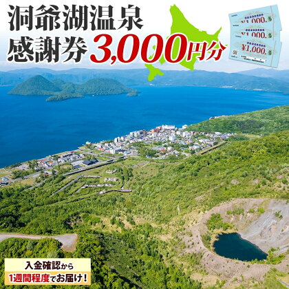 洞爺湖温泉感謝券 3000円 分 金券 クーポン 洞爺湖 湖 温泉 リゾート 有珠山 火山 自然 花火 イルミネーション 旅行 観光 宿泊 施設 北海道　【地域のお買い物券・チケット・アクティビティ体験・グルメ】