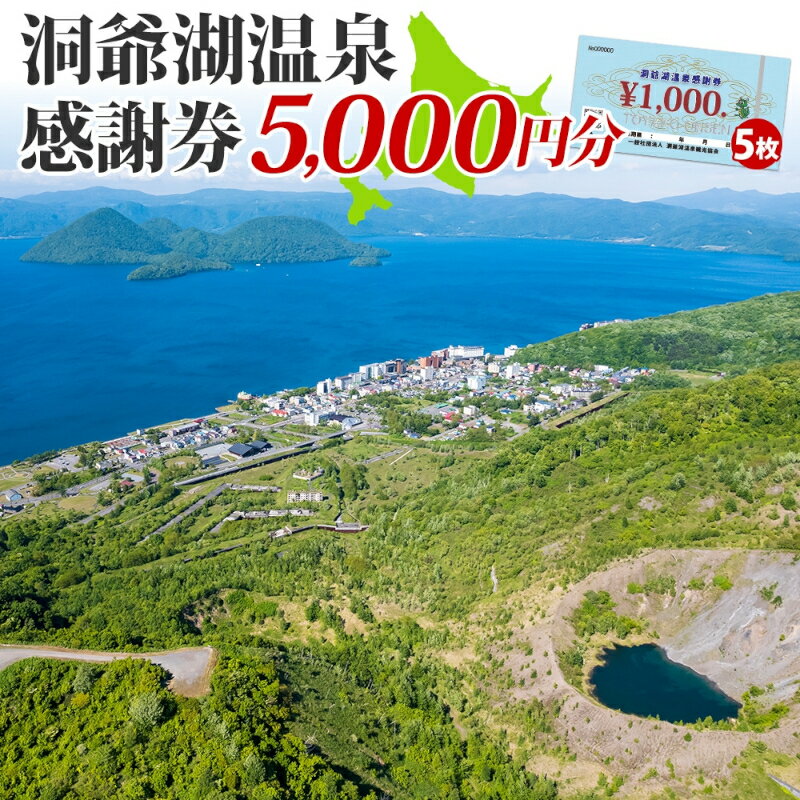 【ふるさと納税】【ふるさと納税】 洞爺湖温泉感謝券 5000円 分 金券 クーポン 洞爺湖 湖 温泉 リゾート 有珠山 火山 自然 花火 イルミネーション 旅行 観光 宿泊 施設 北海道　【地域のお買い物券・チケット・アクティビティ体験・グルメ】