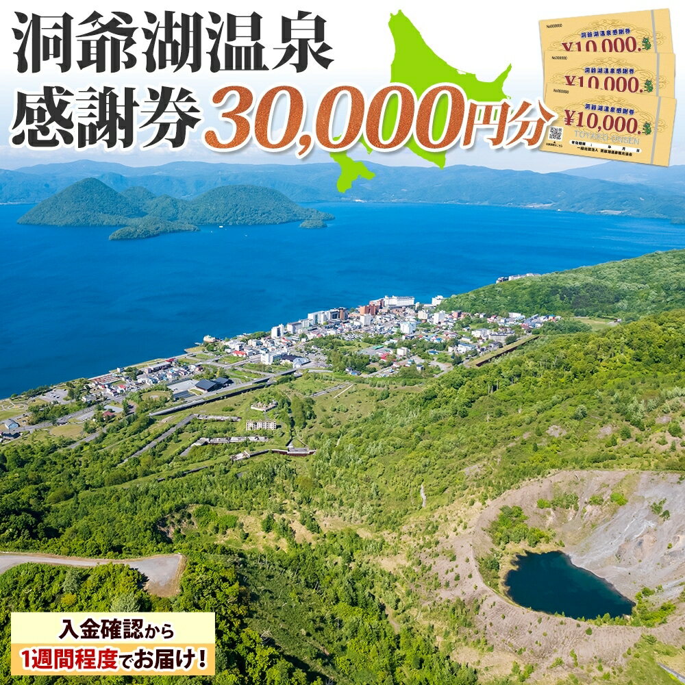 【ふるさと納税】【ふるさと納税】 洞爺湖温泉感謝券 30000円 分 金券 クーポン 洞爺湖 湖 温泉 リゾート 有珠山 火山 自然 花火 イルミネーション 旅行 観光 宿泊 施設 北海道　【地域のお買い物券・チケット・アクティビティ体験・グルメ】