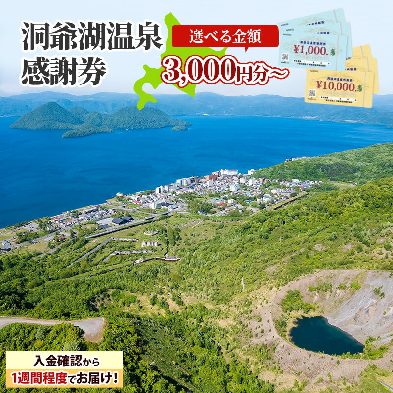 洞爺湖温泉感謝券 60000円 分 金券 クーポン 洞爺湖 湖 温泉 リゾート 有珠山 火山 自然 花火 イルミネーション 旅行 観光 宿泊 施設 北海道　【地域のお買い物券・チケット・アクティビティ体験・グルメ】