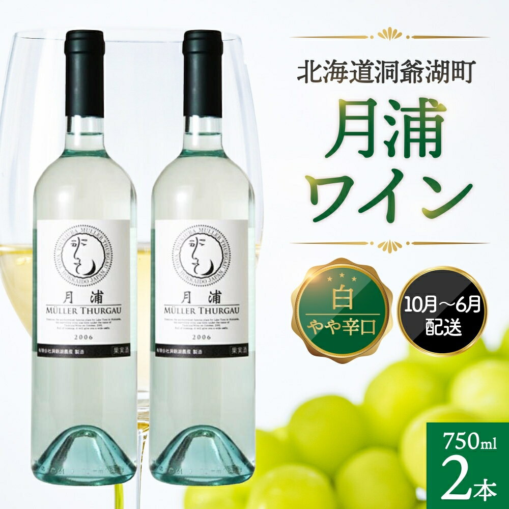 北海道 洞爺湖町産 月浦ワイン 白 750ml×2本 ミュラートゥルガウ 白ワインお酒 アルコール ブドウ酒 自社農園 家飲み お祝い 記念日 贈答用 ギフト 月浦ワイナリー 送料無料 [ フルーティ 宅飲み 国産 ] お届け:2023年10月〜2024年6月末まで