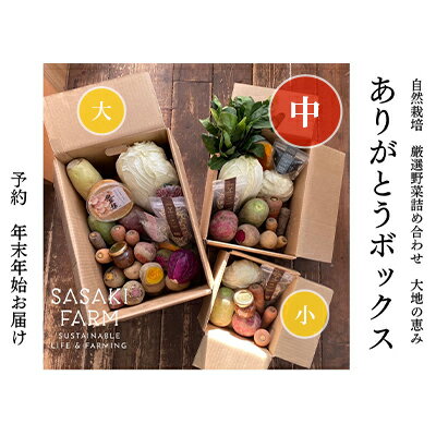 【ふるさと納税】〈自然栽培〉佐々木ファーム　旬の野菜詰め合わせ　～ありがとうBOX 2024・中～　や...