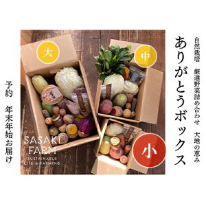 【ふるさと納税】〈自然栽培〉佐々木ファーム　旬の野菜詰め合わせ　～ありがとうBOX 2024・小～　やさい　直送　北海道　洞爺湖町　【 野菜の詰め合わせ ポップコーン 乾燥野菜 】　お届け：2024年12月1日～2025年1月31日まで