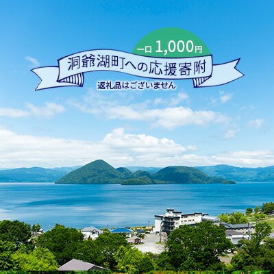 洞爺湖町 寄附のみの応援受付 1,000円コース(返礼品なし 寄附のみ 1000円) [ 支援 応援 自治体支援 お礼の品なし 北海道 洞爺湖町の発展 ふるさと応援 ふるさと支援 ]