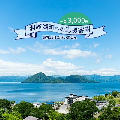 洞爺湖町 寄附のみの応援受付 3,000円コース（返礼品なし 寄附のみ 3000円）　【 支援 応援 自治体支援 お礼の品なし 北海道 洞爺湖町の発展 ふるさと応援 ふるさと支援 】