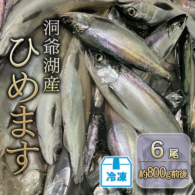 楽天ふるさと納税　【ふるさと納税】洞爺湖産ひめます6尾(約800g前後)冷凍　【洞爺湖町】