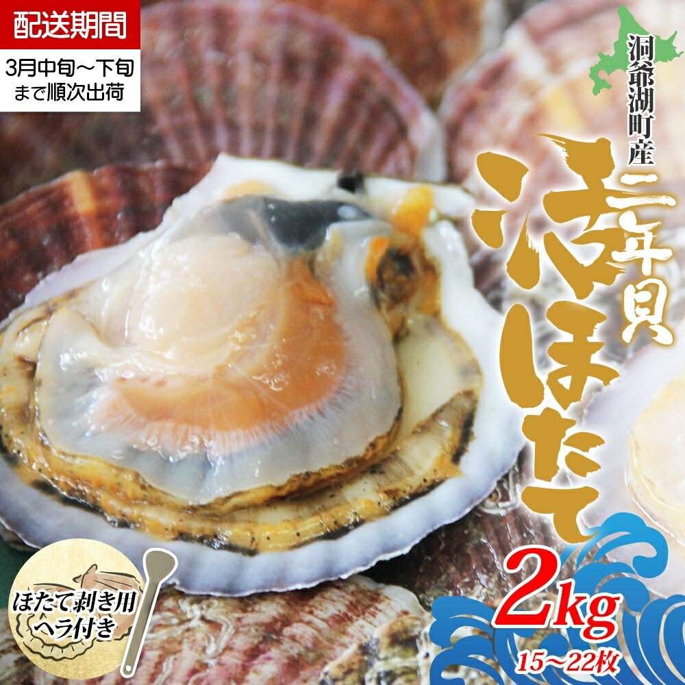 活ほたて 2年貝 約 2kg 15枚～22枚 帆立 ホタテ ほたて 貝 魚貝 魚介 海産 海鮮 貝柱 噴火湾 刺身 焼き フライ 甘み 旨み 土産 贈り物 自宅用 生産者支援 生産者応援 北海道 洞爺湖町　【洞爺湖町】　お届け：2025年3月中旬～3月下旬まで