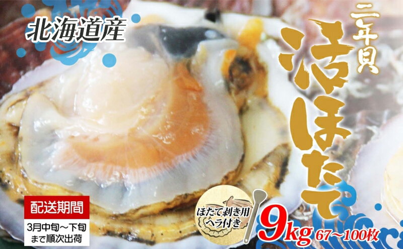 【ふるさと納税】北海道産 活ほたて 2年貝 約 9kg 67枚～100枚 2026年3月中旬～3月下旬頃お届け 殻付き 貝付き 帆立 ホタテ ほたて 貝 魚介 海産 海鮮 貝柱 噴火湾 刺身 焼き フライ 生産者支援 産地直送 送料無料 　お届け：2026年3月中旬～3月下旬まで