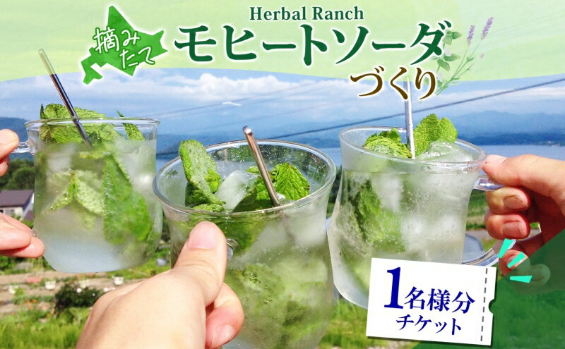 【ふるさと納税】北海道 モヒート ソーダ 作り 体験 ハーブ ミント サイダー ノンアルコール ノンアル オリジナル 天然 リラックス 癒し リラクゼーション 健康 ハーバルランチ 送料無料 洞爺湖 2