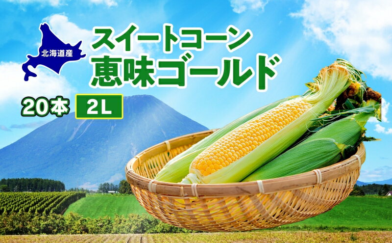 【ふるさと納税】 北海道産 スイート コーン めぐみゴールド 2Lサイズ 20本 先行受付 2026年8月上旬～下旬頃お届け とうもろこし 恵味 めぐみ トウモロコシ 旬 完熟 朝もぎ 野菜 産地直送 お取り寄せ 北海道 丸田農園 洞爺湖 　お届け：2026年8月中旬～8月下旬までのお届け