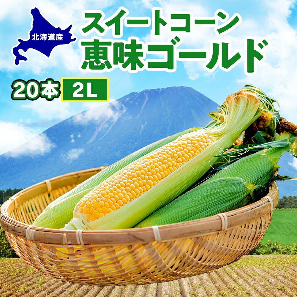 【ふるさと納税】 北海道産 スイート コーン めぐみゴールド 2Lサイズ 20本 先行受付 8月上旬~末頃のお届け とうもろこし 恵味 めぐみ トウモロコシ 旬 完熟 朝もぎ 野菜 産地直送 お取り寄せ 北海道 丸田農園 送料無料 洞爺湖 お届け:2025年8月上旬~8月末