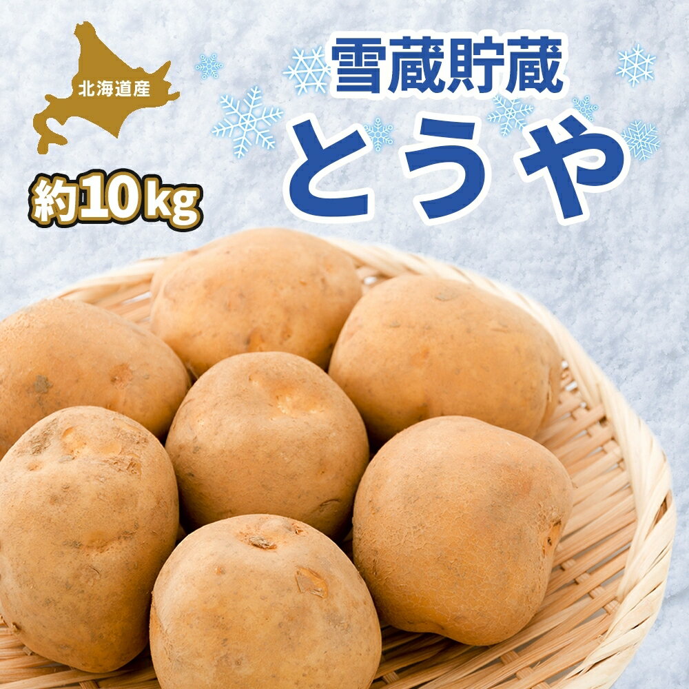 北海道 雪蔵 とうや L〜LM 約10kg 2025年2月中旬より順次お届け じゃがいも ジャガイモ じゃが芋 馬鈴薯 芋 いも イモ 旬 雪蔵貯蔵 野菜 農作物 カレー シチュー肉じゃが 北海道産 丸田農園 送料無料 お届け:2026年2月中旬より順次出荷