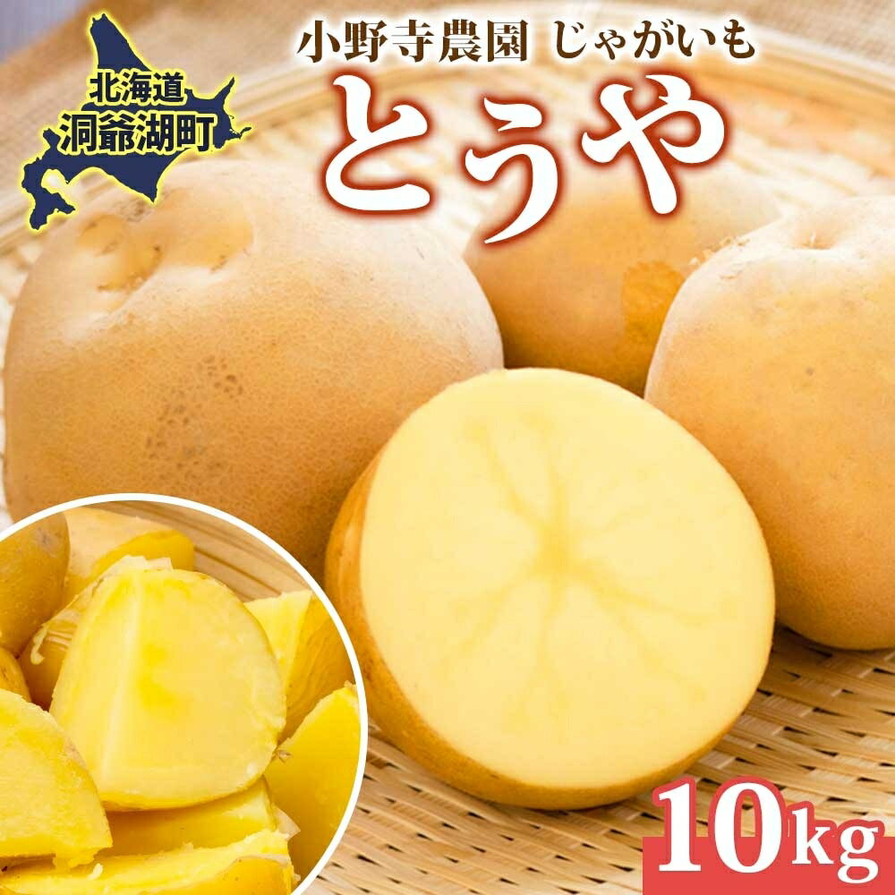 じゃがいも とうや 10kg 10月初旬〜12月中旬ごろお届け ホクホク 甘い ポテトサラダ コロッケ 産地直送 お取り寄せ 国産 小野寺農園 北海道 洞爺湖町 お届け:2025年10月初旬〜12月中旬まで