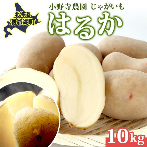 【ふるさと納税】じゃがいも はるか 10kg しっとり 甘い 10月初旬~12月中旬ごろお届け カレーライス 肉じゃが 産地直送 お取り寄せ 国産 小野寺農園 北海道 洞爺湖町 お届け:2025年10月初旬~12月中旬まで 【ふるさと納税】じゃがいも はるか 10kg しっとり 甘い 10月初旬~12月中旬ごろお届け カレーライス 肉じゃが 産地直送 お取り寄せ 国産 小野寺農園 北海道 洞爺湖町 お届け:2025年10月初旬~12月中旬まで