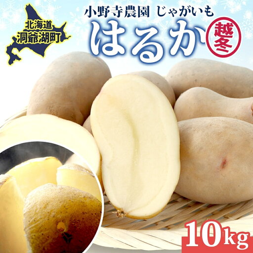 【ふるさと納税】じゃがいも 越冬はるか 10kg 2026年1月中旬~3月下旬ごろお届け しっとり 甘い ロースト じゃがバター 産地直送 お取り寄せ 国産 小野寺農園 北海道 洞爺湖町 お届け:2026年1月中旬~3月下旬まで 【ふるさと納税】じゃがいも 越冬はるか 10kg 2026年1月中旬~3月下旬ごろお届け しっとり 甘い ロースト じゃがバター 産地直送 お取り寄せ 国産 小野寺農園 北海道 洞爺湖町 お届け:2026年1月中旬~3月下旬まで