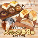 【ふるさと納税】自家製酵母パン 人気の定番セット Mサイズ 2ヵ月連続お届け