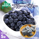 【ふるさと納税】役に立ちます 冷凍カット果物 ブルーベリー100g×5袋 9月初旬よりお届け 冷凍 カット 果物 小分け 時短 弁当 簡単 調理 便利 国産 北海道 洞爺湖町 お届け:2025年9月初旬より順次出荷