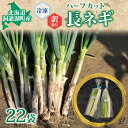 【ふるさと納税】【大容量】役に立ちます 冷凍カット野菜 長ねぎ 訳あり 長ねぎ11本分(1/2本×22袋相当) 長ネギ 冷凍 カット 野菜 小分け 時短 弁当 簡単 調理 便利 国産 北海道 洞爺湖町