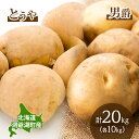 【ふるさと納税】とうや湖農業協同組合 じゃがいも とうや 男爵 各10kg×1 計20kg 9月上旬~12月中旬までお届け ジャガイモ 芋 甘い なめらか しっとり ポタージュ カレー 調理 料理 煮込み料理 旬 季節 農作物 野菜 根菜 北海道 お届け:2025年9月上旬~12月中旬まで