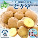 【ふるさと納税】雪蔵じゃがいも 10kg とうやLサイズ 2026年3月上旬~3月末までお届け ジャガイモ 芋 甘い なめらか しっとり ポタージュ カレー 調理 料理 煮込み料理 雪蔵 旬 季節 農作物 野菜 根菜 北海道 洞爺湖町 お届け:2026年3月上旬~3月末まで