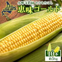 【ふるさと納税】北海道 とうもろこし 恵味ゴールド 約5kg 10本入り 2026年8月11日~8月末頃お届け トウモロコシ コーン 甘い 産地直送 BBQ とうきび 国産 人気 バーベキュー お取り寄せ 北海道産 洞爺湖町 小野寺農園 お届け:2026年8月中旬~8月末頃まで