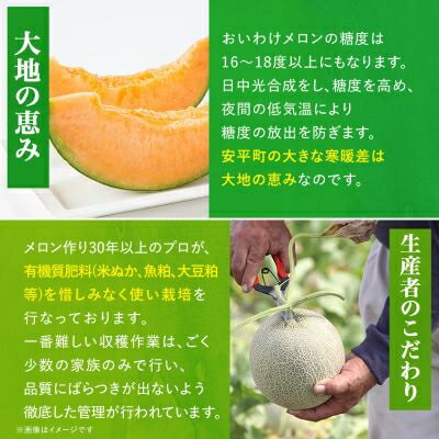 北海道安平町の画像2