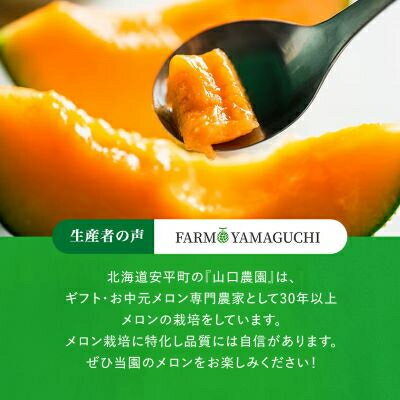 北海道安平町の画像3